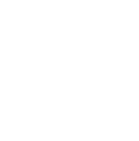 rodex-icon